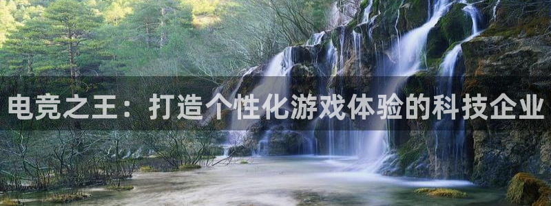 一竞技app下载：电竞之王：打造个性化游戏体验的科技企业