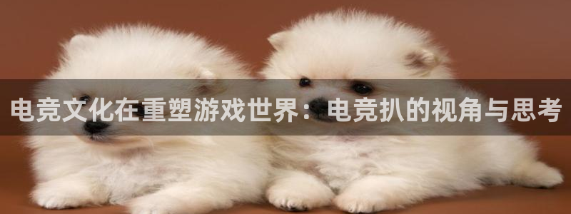 一竞技官网：电竞文化在重塑游戏世界：电竞扒的视角与思考