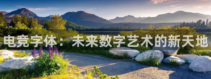 一竞技网址：电竞字体：未来数字艺术的新天地