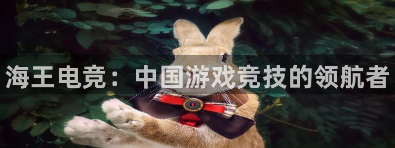 一竞技官网：海王电竞：中国游戏竞技的领航者