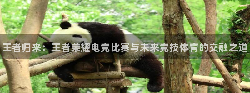 一竞技官网：王者归来：王者荣耀电竞比赛与未来竞技体育的交融之道