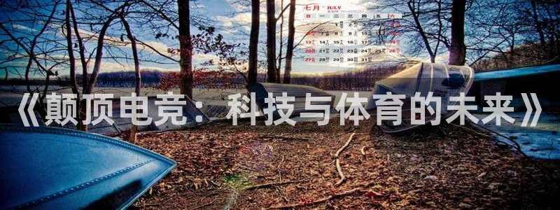 一竞技app：《颠顶电竞：科技与体育的未来》