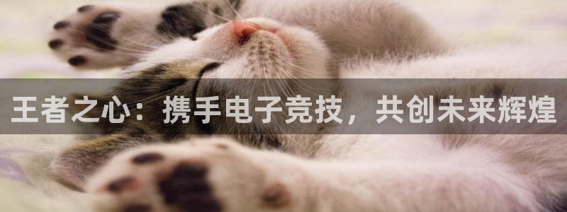 一竞技官网：王者之心：携手电子竞技，共创未来辉煌