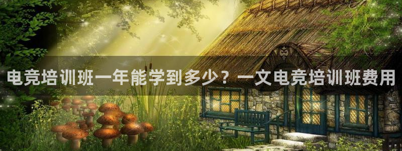 一竞技网址：电竞培训班一年能学到多少？一文电竞培训班费用