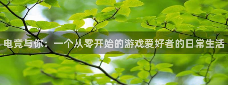 一竞技app：电竞与你：一个从零开始的游戏爱好者的日常生活