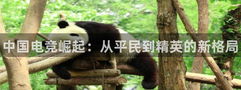 一竞技官网下载：中国电竞崛起：从平民到精英的新格局