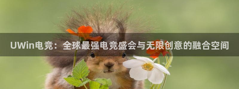 一竞技app下载安装：UWin电竞：全球最强电竞盛会与无限创意的融合空间