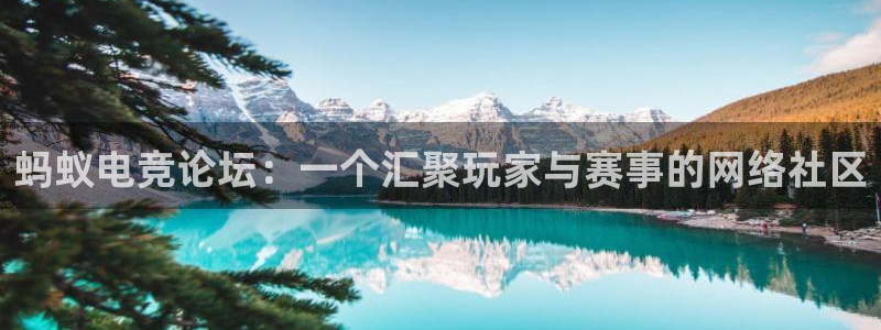 一竞技官网地址：蚂蚁电竞论坛：一个汇聚玩家与赛事的网络社区