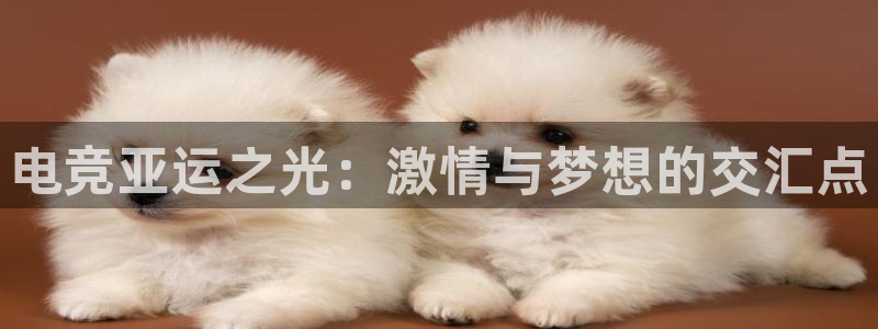 一竞技