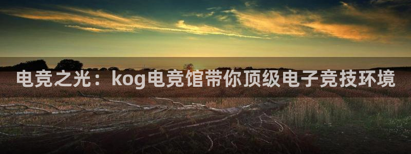 一竞技网址：电竞之光：kog电竞馆带你顶级电子竞技环境