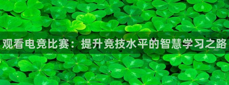 一竞技官网：观看电竞比赛：提升竞技水平的智慧学习之路