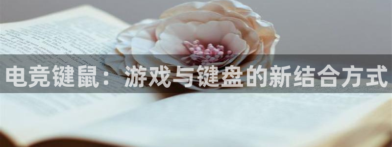 一竞技平台：电竞键鼠：游戏与键盘的新结合方式