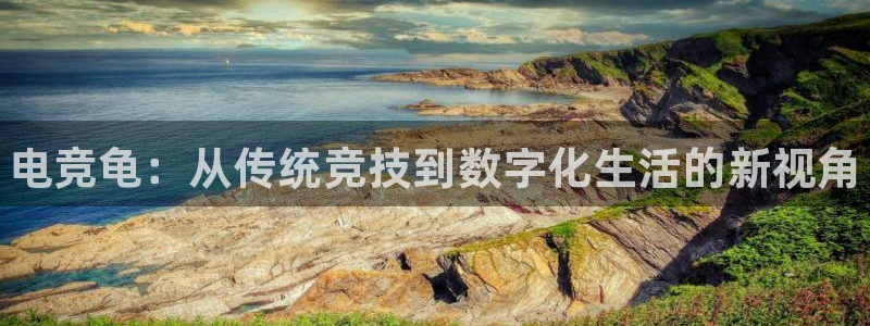 一竞技：电竞龟：从传统竞技到数字化生活的新视角