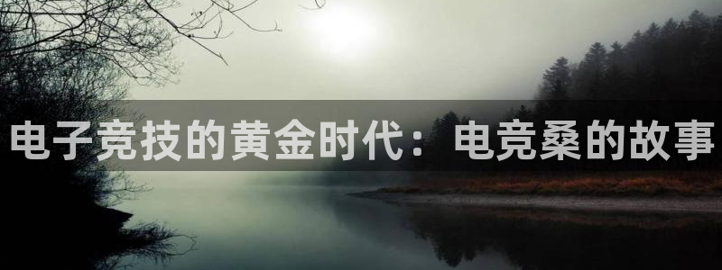 一竞技网址：电子竞技的黄金时代：电竞桑的故事
