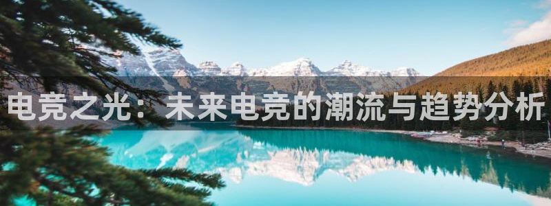 一竞技官网下载：电竞之光：未来电竞的潮流与趋势分析