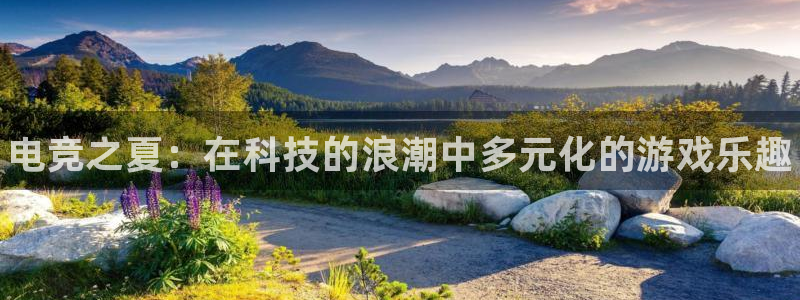 一竞技网址：电竞之夏：在科技的浪潮中多元化的游戏乐趣