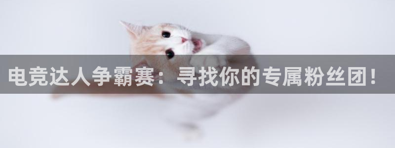 一竞技官网：电竞达人争霸赛：寻找你的专属粉丝团！